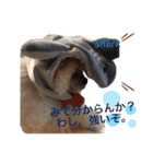 maronさん、だよ。ver.2（個別スタンプ：9）