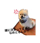 maronさん、だよ。ver.2（個別スタンプ：11）