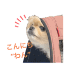 maronさん、だよ。ver.2（個別スタンプ：13）