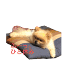maronさん、だよ。ver.2（個別スタンプ：14）