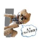 maronさん、だよ。ver.2（個別スタンプ：16）