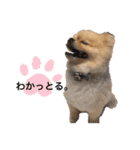 maronさん、だよ。ver.2（個別スタンプ：17）