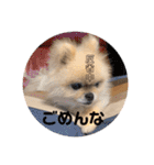 maronさん、だよ。ver.2（個別スタンプ：18）