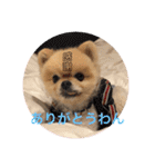 maronさん、だよ。ver.2（個別スタンプ：20）