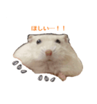 かわいいハムスター③（個別スタンプ：8）