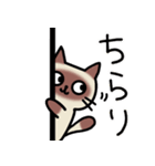 シャムねこミュシャの日常 ver.1（個別スタンプ：17）