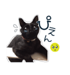 黒猫好きの為の敬語スタンプ（個別スタンプ：4）