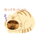 旅行にいく人に送るスタンプ！（個別スタンプ：1）