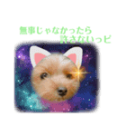 旅行にいく人に送るスタンプ！（個別スタンプ：4）