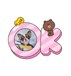 チワワのみるくぷりんここあ（個別スタンプ：5）
