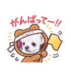 チワワのみるくぷりんここあ（個別スタンプ：9）