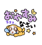 チワワのみるくぷりんここあ（個別スタンプ：11）