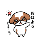 シーズー犬⭐︎こむぎさんスタンプ1（個別スタンプ：1）