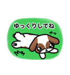 シーズー犬⭐︎こむぎさんスタンプ1（個別スタンプ：19）