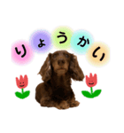 いろいろなじゃすみん（個別スタンプ：7）