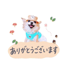 チワワのメロン♥敬語（個別スタンプ：1）