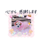 チワワのメロン♥敬語（個別スタンプ：3）