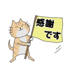 「猫の助」の毎日使えるスタンプ（個別スタンプ：3）