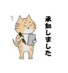 「猫の助」の毎日使えるスタンプ（個別スタンプ：7）