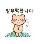 にゃんこさんとわんこどの（韓国語ver.）（個別スタンプ：10）