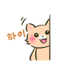 にゃんこさんとわんこどの（韓国語ver.）（個別スタンプ：18）