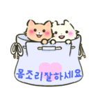 にゃんこさんとわんこどの（韓国語ver.）（個別スタンプ：34）