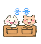 にゃんこさんとわんこどの（韓国語ver.）（個別スタンプ：38）
