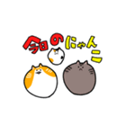 頻出にゃんこ（個別スタンプ：1）