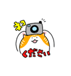 頻出にゃんこ（個別スタンプ：2）