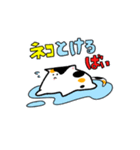 頻出にゃんこ（個別スタンプ：4）