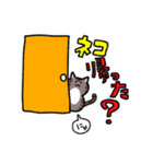 頻出にゃんこ（個別スタンプ：6）