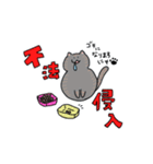頻出にゃんこ（個別スタンプ：8）