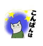 Tシャツ猫の日常（個別スタンプ：3）