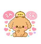 ふわもこといぷー♡毎日言葉（個別スタンプ：1）