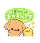 ふわもこといぷー♡毎日言葉（個別スタンプ：3）