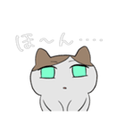 ははねこ（個別スタンプ：1）