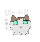 ははねこ（個別スタンプ：3）