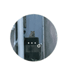 猫吾郎（個別スタンプ：3）