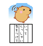 きゃぴばらBIG【絵日記】（個別スタンプ：13）