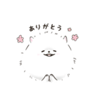 ポメラニアンのしろ（個別スタンプ：5）