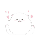 ポメラニアンのしろ（個別スタンプ：10）