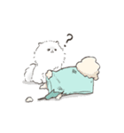 ポメラニアンのしろ（個別スタンプ：15）