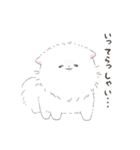 ポメラニアンのしろ（個別スタンプ：19）