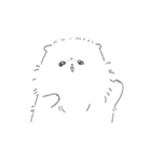 ポメラニアンのしろ（個別スタンプ：21）