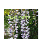 現場で屁をこいてみた（個別スタンプ：3）