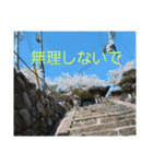 現場で屁をこいてみた（個別スタンプ：5）