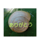 現場で屁をこいてみた（個別スタンプ：7）