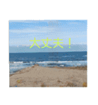 現場で屁をこいてみた（個別スタンプ：8）
