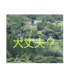 現場で屁をこいてみた（個別スタンプ：9）