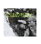 現場で屁をこいてみた（個別スタンプ：17）